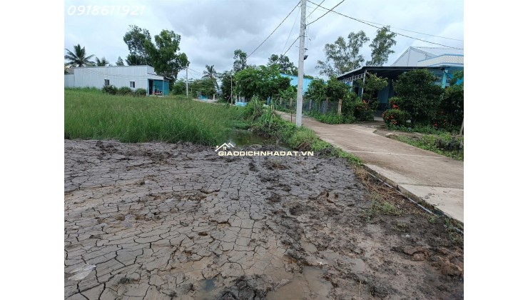 Đất thổ cư chính chủ 5x24m – giá mềm cho người thật việc thật